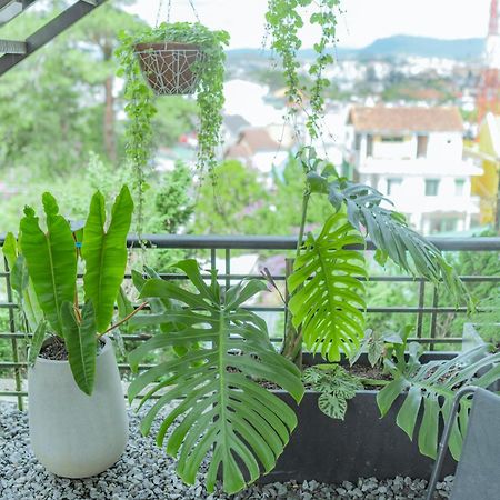 Hilly Hostel Далат Екстер'єр фото